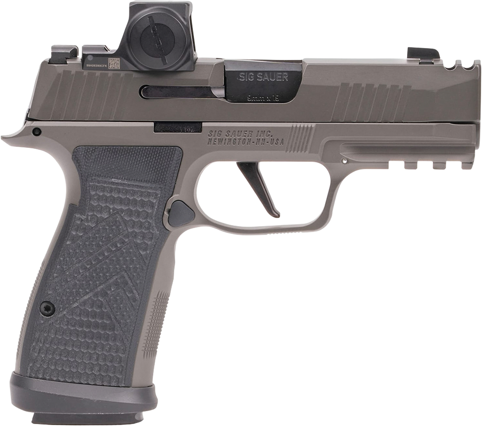 P365 AXG Legion 3.1" 17RD