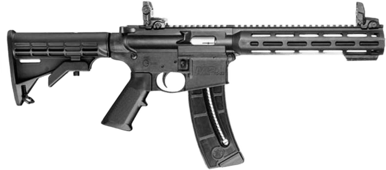 Smith and Wesson M&P 15-22